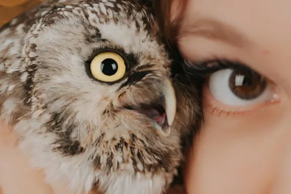 Lottomart Cazino Cazinou Suport